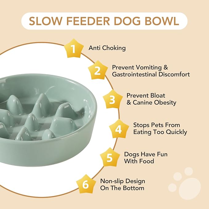 Ceramic 1.2 Cup Raised Slow Feeder Dog Bowl Set, Elevated 6.1inch Bowl and 7.3inch Slow Pet Food Dish with Wooden Stand for Small and Medium Dog (2 x Light Green+ Stand)