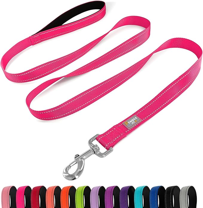 Dog Leash 6 FT Padded Handle Nylon Reflective Dogs Leashes for Small Dogs Hot Pink