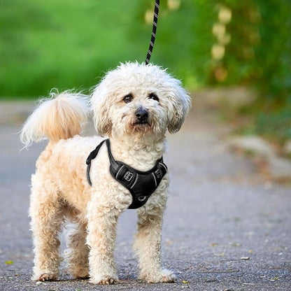 BARKBAY No Pull Dog Harness Large Reflective Dog Harness with Front Clip and Easy Control Handle for Walking Training Running with ID tag Pocket(Black,XS)