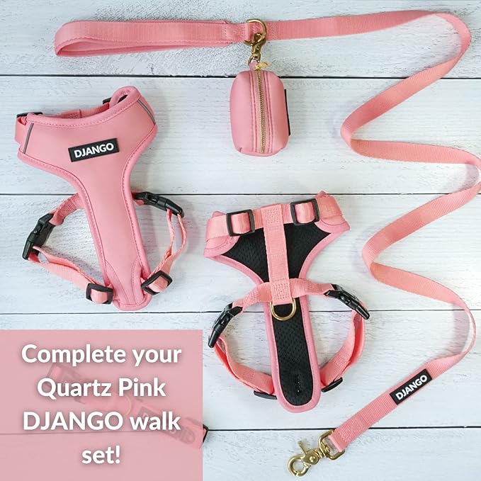 DJANGO Adventure Dog Leash – Strong, Comfortable, and Stylish Dog Leash with Solid Brass Hardware and Padded Handle - Designed for Outdoor Adventures and Everyday Use (Quartz Pink)