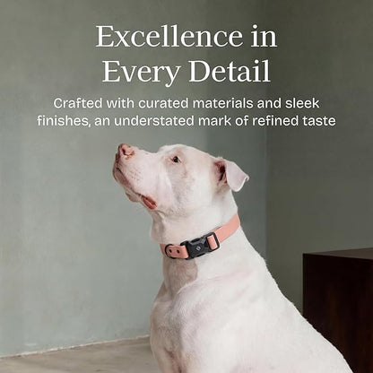 2026 New Edition, Fei & Eve PVC MagEase Dog Collar - Patented Magnetic Buckles | Fur-Safe | 450LB Escape-Proof | Adjustable Fit | Large (Blush)