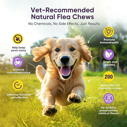 Dog Flea and Tick Treatment Chewable 200 Treatment Chews Natural Soft Chew Fleas Ticks Treatment Dog Oral Chewables Support Supplement Breeds and Ages Dogs Chicken Flavor