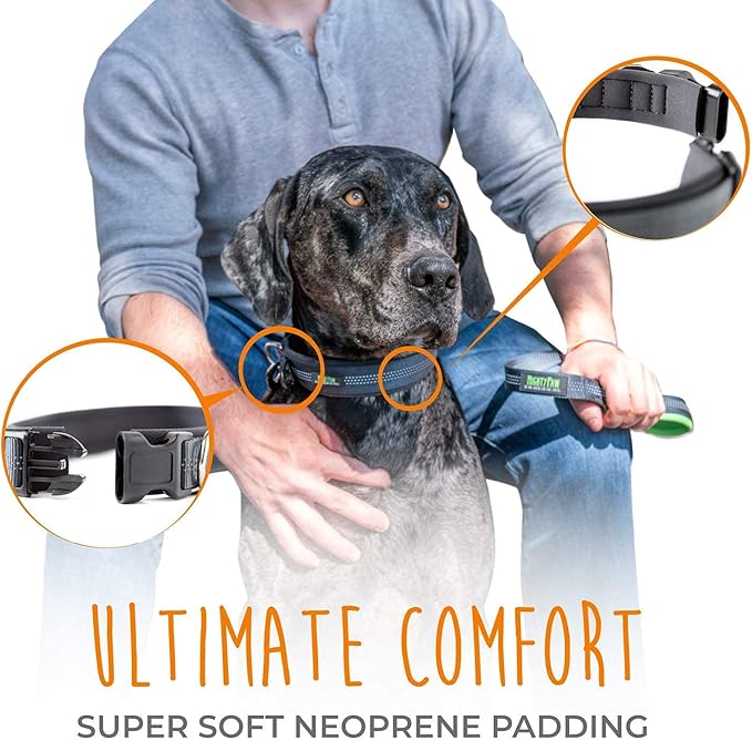 Mighty Paw Dog Collar - Neoprene Padded - Reflective for Running - Extra Comfort for Active Dogs - Lined and Strong Collar - Premium Quality for All Breeds - Soft