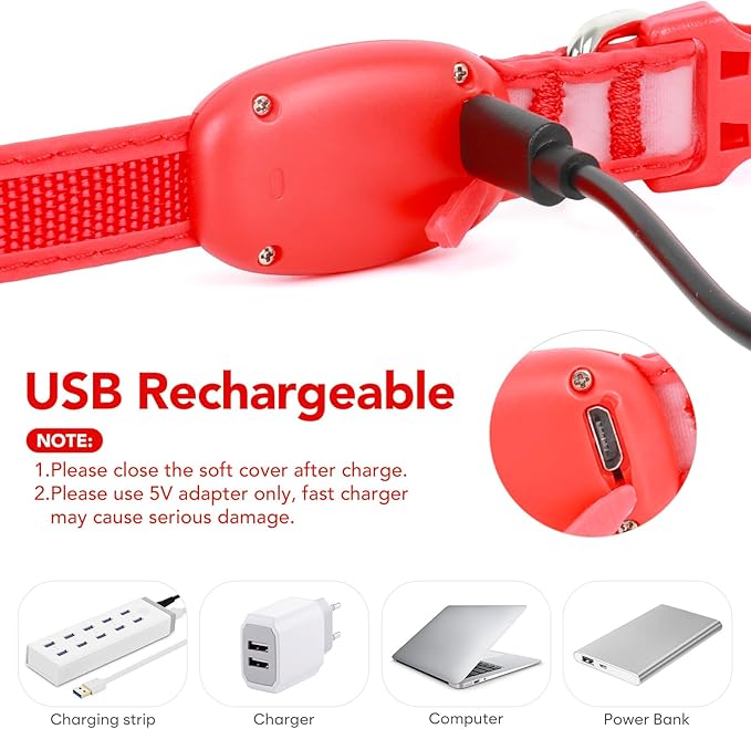 Light up Collar for Small Dog,Vizpet XS Adjustable Size Nylon Collar USB Rechargeable Bright Safety Pet Collar for Cats Small Dogs(Red, X-Small[ 8.66-11.9 inch/22cm-30cm])