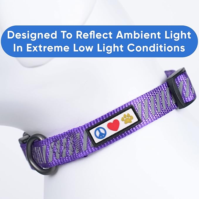Pawtitas Reflective Dog Collar - Personalized Name & Phone Number, Adjustable for Small Dogs & Puppies, Purple
