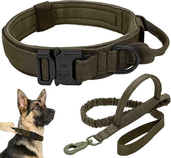 Tactical Dog Collar Leash Set, Adjustable Military Training Nylon Collar Dog Training with Control Handleand Metal Buckle, Dog Collar for Medium Large Dogs (Green,M)
