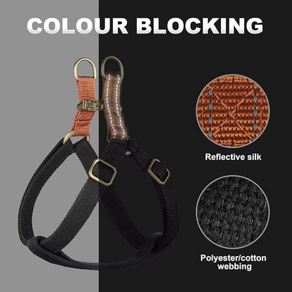 Didog Step in Dog Harness with Metal Buckles, Freedom Nylon Dog Halter Vests for Medium Dogs Easy Walking Training(M:Chest 19-28", Black)
