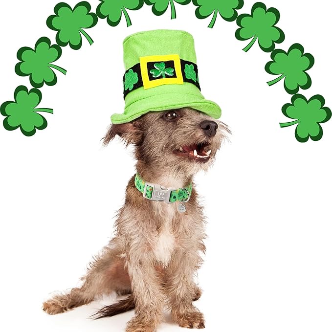 St. Patrick's Dog Collar, Cotton St. Patricks Clover Collar for Puppy Girl Boy Dog or Cat, Lucky Shamrock Dog Collar with Quick Release, Spring Green Dog Collars