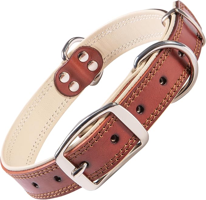 ADITYNA Heavy-Duty Leather Dog Collar for Small Dogs - Soft Padded for Comfort - Small Dog Collar for Walking, Training, and Hiking