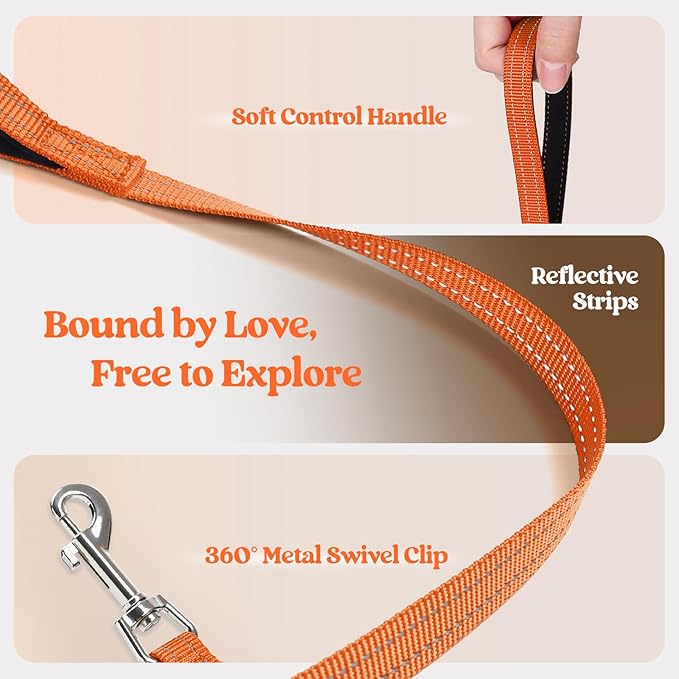 rabbitgoo Dog Harness Small Medium Sized and Leash Set, Step in Soft Light Puppy Vest, Breathable Mesh Pet Harness, Reflective for Safe Easy Walking, Orange L