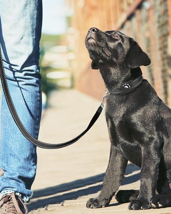 6FT Reflective Nylon Dog Leash with Soft Padded Handle for Walking, Running and Training, Supports Small Medium and Large Dogs (Black, 1 Inch Wide)