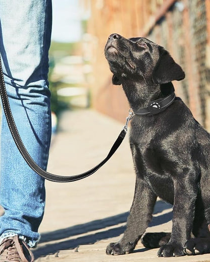 6FT Reflective Nylon Dog Leash with Soft Padded Handle for Walking, Running and Training, Supports Small Medium and Large Dogs (Black, 1 Inch Wide)