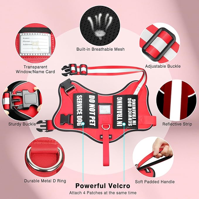 Service Dog Vest Harness and Leash Set+10 Patches,No Pull&Adjustable Reflective Dog Harness with Soft Padded Handle for Training/Everyday,Fit Small/Medium/Large/Extra-Large Dogs(Red XL)