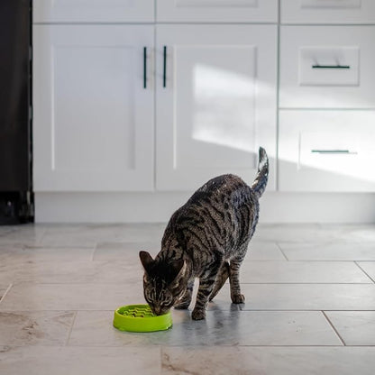 Catstages Kitty Slow Feeder Bowl for Cats & Small Dogs, Puzzle Dish for Fast Eaters, for Wet or Dry Food, Helps Slow Eating & Aid Digestion, Non-Slip, Made Without BPA, 3/4 Cup, 5-Inch, Green