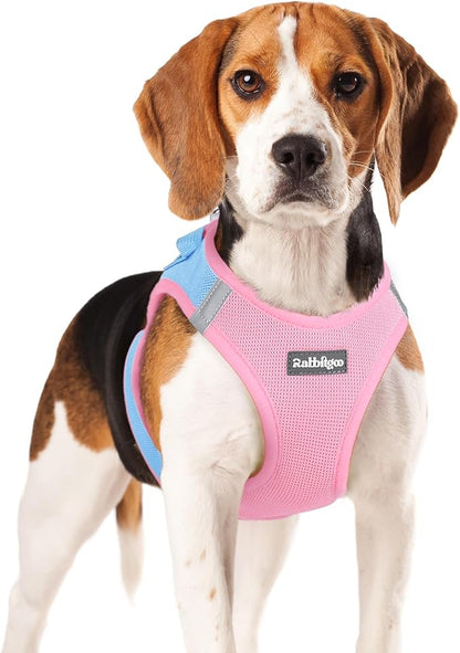 rabbitgoo Small Dog Harness, Step-in Soft Mesh Puppy Vest with Safety Buckle, Breathable Reflective Pet Harness for Small Medium Dogs, Blue & Light Pink XL