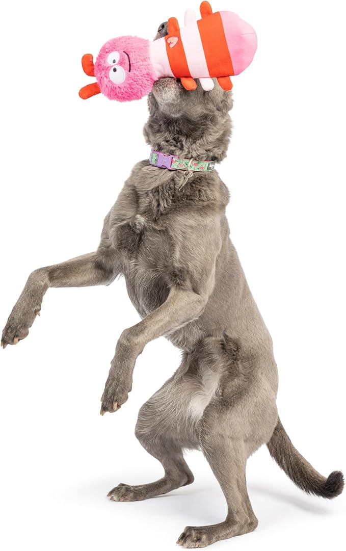 Huxley & Kent Funny Dog Toy w/Squeaker – Power Plush Squeaky Dog Toys for Small, Medium & Large Dogs – Soft Stuffed Animal for Indoor Play & Fetch - Fur Bug, One Size