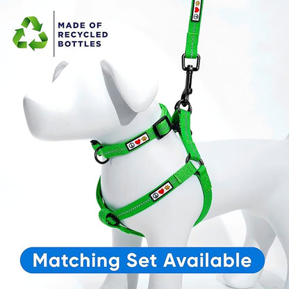 Pawtitas Green Dog Leash 6 ft XS/S Reflective Durable Lightweight Recycled Lead for Small Dogs and Puppies