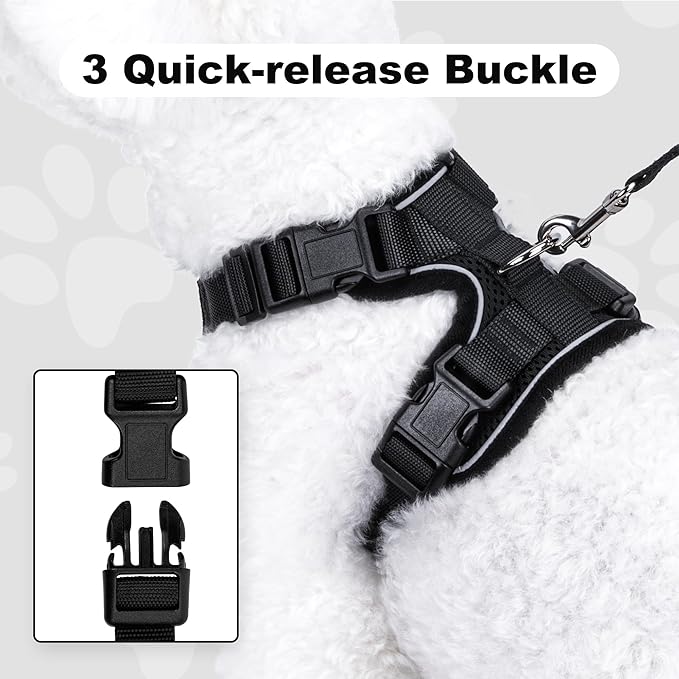 Small Dog Harness and Leash Set, No Pull Adjustable Pet Harness for Small Dogs, Breathable Mesh Rflective Dog Vest Harness (Black, XS)