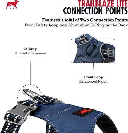 Tuff Pupper All-Day Wear Dog Harness | for Walking, Trail Running, Hiking | Front & Back Leash Clips | Reflective Trim | Easy On/Off Buckles | Lightweight Breathable | No Pull Design (XXXS, Blue)