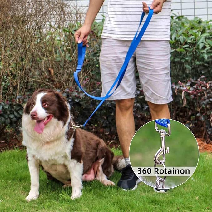 AMAGOOD 6 FT Puppy/Dog Leash, Strong and Durable Traditional Style Leash with Easy to Use Collar Hook, Great for Small, Medium and Large Dogs (3/4 in x 6 ft, Black and Blue (2-Pack))