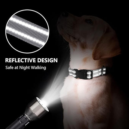 Hikiko Reflective Martingale Dog Collars with Buckle Nylon Adjustable No Slip Training Pet Collar (Medium, Sliver Grey)