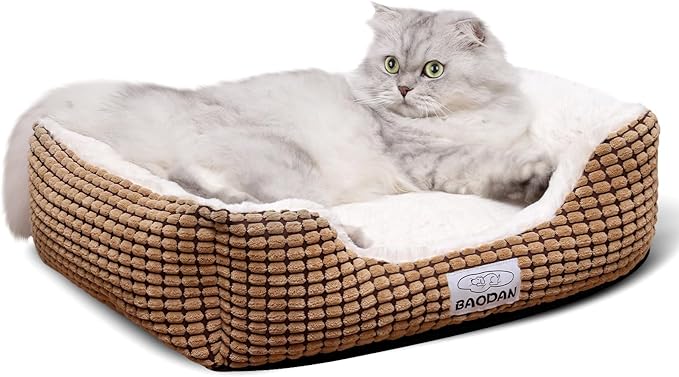 Baodan Small Dog Bed for Small Dogs, Cat Beds for Indoor Cats Washable, Rectangle Dog Bed, Warming Soft Calming Sleeping Puppy Bed Durable Pet Bed with Anti-Slip Bottom (20 inch, Coffee)