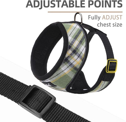 PUPTECK Soft Mesh Dog Harness and Leash Set Pet Puppy Cat Comfort Padded Vest No Pull Harnesses, Green/Yellow, M