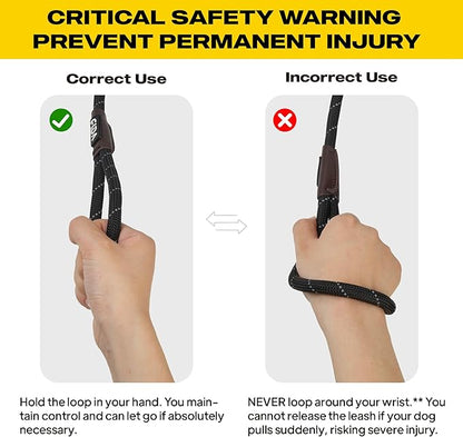 Fida Durable Slip Lead Dog Leash Bulk Pack of 5, Heavy Duty 1/2" x 6 FT Comfortable Strong Rope Slip Lead for Large, Medium & Small Dogs No Pulling Pet Training Leash with Highly Reflective (Black)