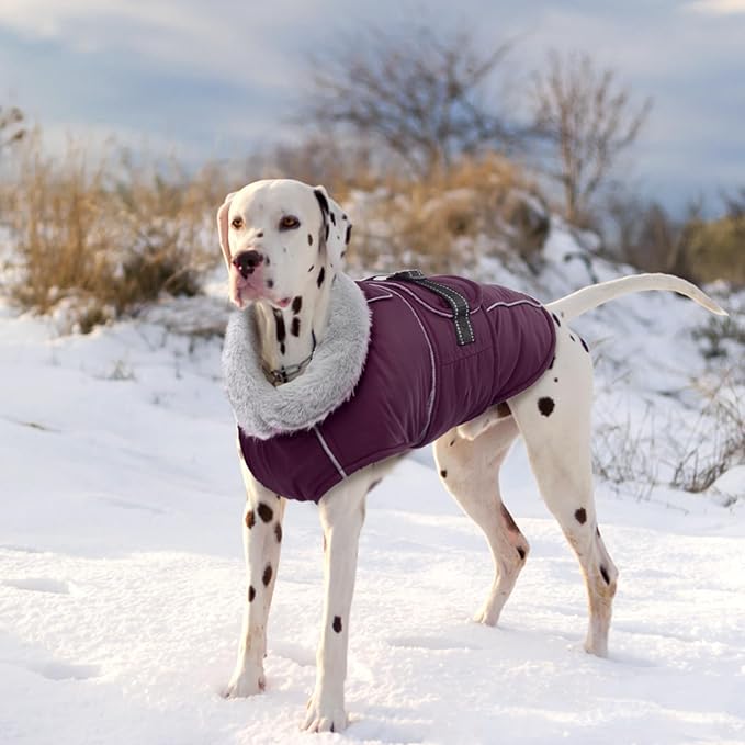 Lelepet Warm Dog Coat Waterproof Dog Jacket for Large Dogs Reflective Fleece Vest with Adjustable Buckle Hook & Loop Windproof Cold Weather Coats for Small Medium Large Dogs, Dark Purple, XL