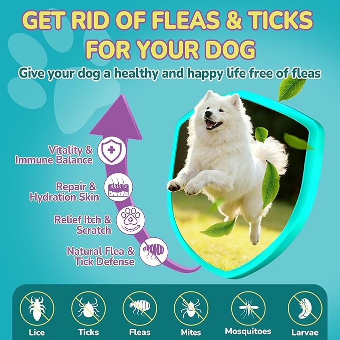 Woyamay Flea & Tick + Itch Relief for Dogs Chewables, Flea and Tick Prevention for Dogs, Dog Allergy Chews, Dog Itching Skin Relief & Skin Repair, Flea Treatment Dogs, 200 Soft Chews, Chicken Flavor