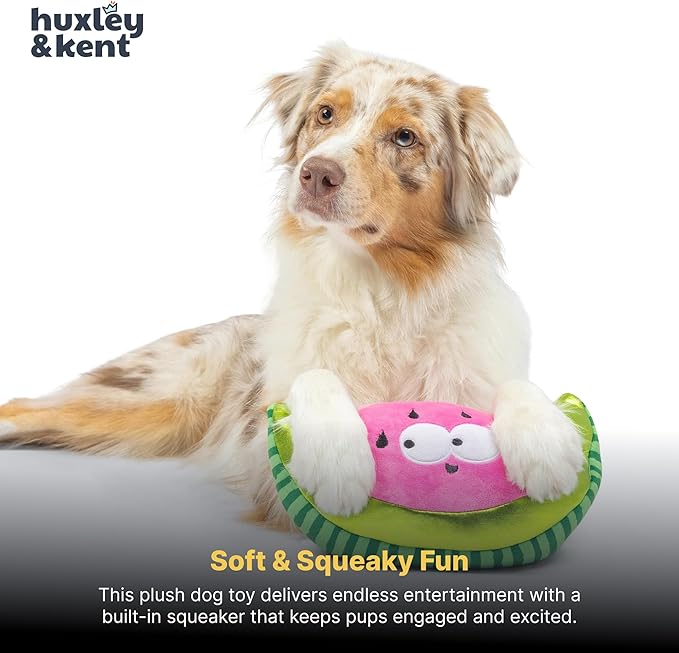 Huxley & Kent Funny Dog Toy w/Squeaker – Power Plush Squeaky Dog Toys for Small, Medium & Large Dogs – Soft Stuffed Animal for Indoor Play & Fetch - Fetchies® Walter Melon, Large