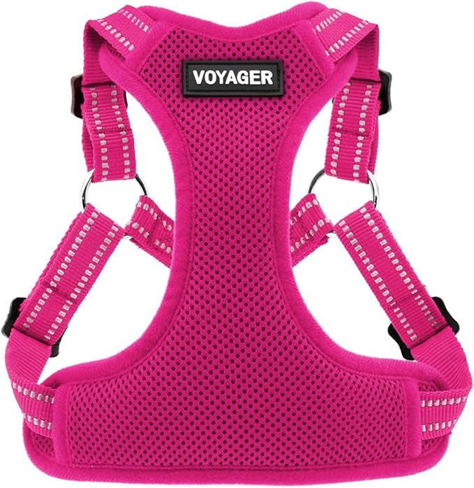 Best Pet Supplies Voyager Adjustable Step-in Flex Breathable Mesh Dog Harness for Small Medium Large Dogs (Fuchsia), M