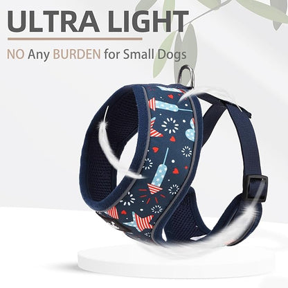 PUPTECK Soft Mesh Dog Harness and Leash Set Pet Puppy Cat Comfort Padded Vest No Pull Harnesses, Independence Dark Blue, S