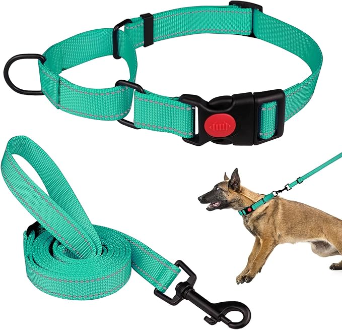 Martingale Dog Collar and Leash Set Martingale Collars for Dogs Reflective Martingale Collar for Small Medium Large Dogs(Mint Green&L)