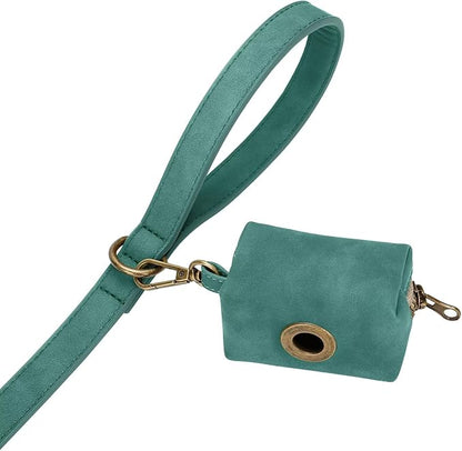 Didog Stylish PU Leather Dog Leash for Small Dogs, Easy to Clean 5ft Small Dog Leash with Metal Tangle-Free Clip, Fashionable and Elegant for Walking, Running and Training,Green, S