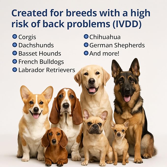 Under the Weather Disc & Spine Health Powder for Dogs | Spinal Disc Support | Vet Formulated Dog Joint Supplement for Long-Backed Breeds | IVDD Dog Supplies | Chicken Flavor Packets - 30 Day Supply S