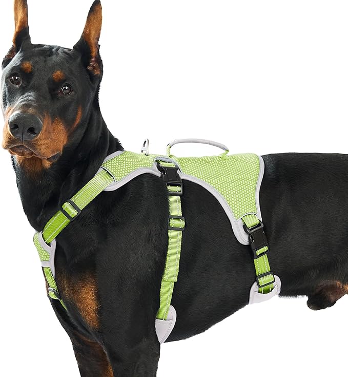 Huntboo Escape Proof Dog Harness, Escape Artist Harness, Reflective Dog Harness with Handle, Durable,Adjustable Vest for Small Medium Large Dogs Walking, Training,and Running Gear(Green,XL)
