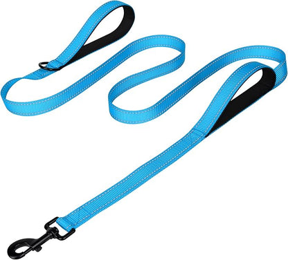Joytale Dog Leash Heavy Duty for Large Dogs That Pull, Double Handle for Traffic Control, Double-Sided Reflective Leashes for Large Medium Dogs Night Safety, 5FT, Aqua Blue