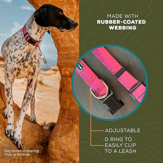 Wilderdog Waterproof Dog Collar - Repels Water & Dirt - Medium 13in -18in - Plum