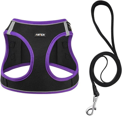 AMTOR Small Dog Harness with Leash Set, No Escape Easy Walk Puppy Harnesses for Training Walking, Step-in Reflective Soft Dogs Vest for XS S Medium Extra-Small Large Sized Dog(L,Black/Purple)