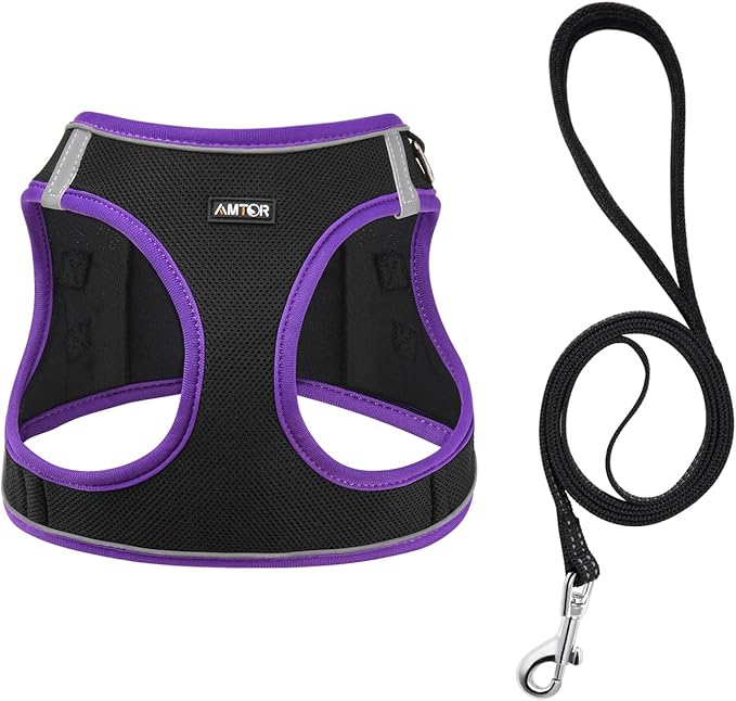 AMTOR Small Dog Harness with Leash Set, No Escape Easy Walk Puppy Harnesses for Training Walking, Step-in Reflective Soft Dogs Vest for XS S Medium Extra-Small Large Sized Dog(XS,Black/Purple)