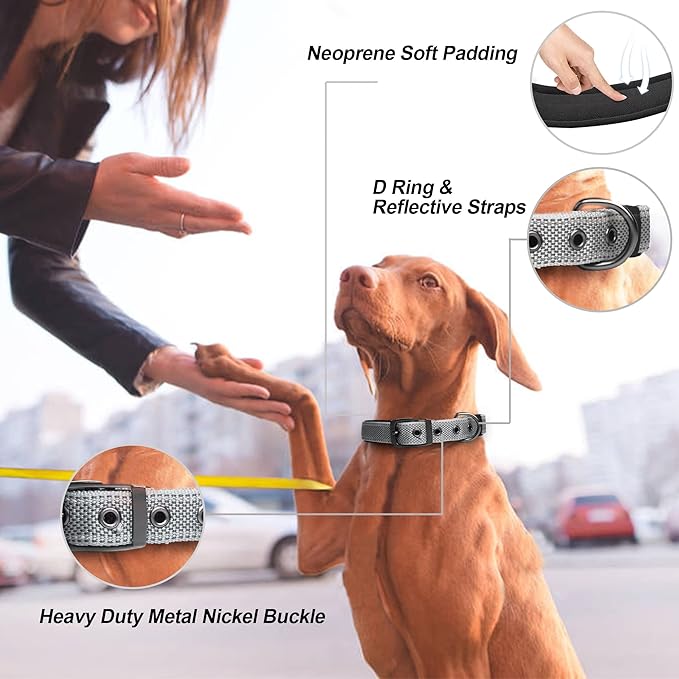 PetiFine Dog Collars for Medium Dogs, Neoprene Padded and Adjustable, Reflective Wide Heavy Duty Pet Collars with Durable Metal Belt Buckle for Walking, Grey, M