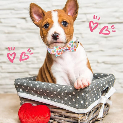 ARING PET Valentine's Day Dog Collar with Bow, Cute Adjustable Heart Bowtie Pet Collars with Metal Buckle for Puppy Small Medium Large Boy Girl Dogs-XS