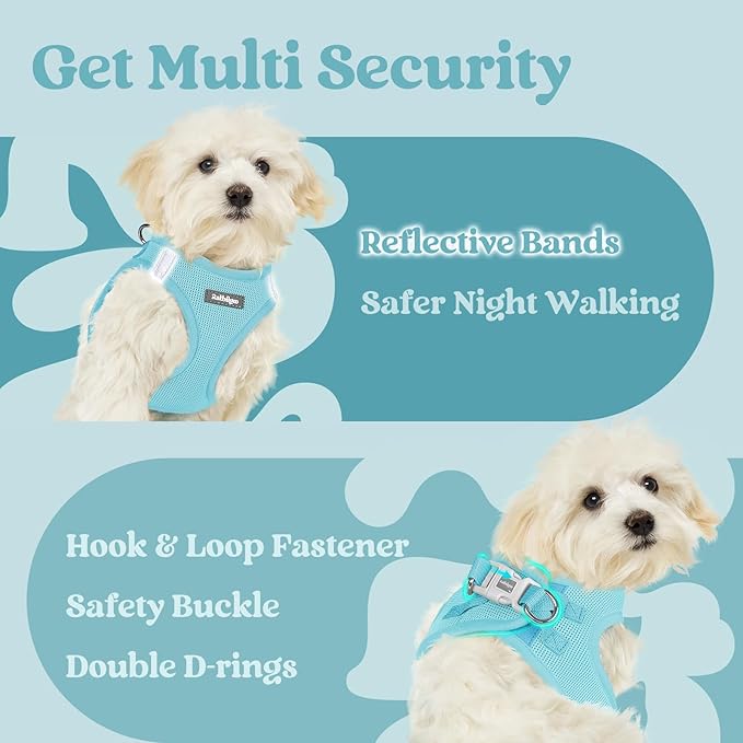 rabbitgoo Small Dog Harness, Step-in Soft Mesh Puppy Vest with Safety Buckle, Breathable Reflective Pet Harness for Small Medium Dogs, Mint Blue XL