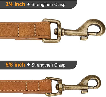 Didog Stylish PU Leather Dog Leash for Medium Dogs, Easy to Clean 5ft Dog Leashes for Large Dogs, Fashionable and Elegant for Walking, Running and Training,Light Brown, M