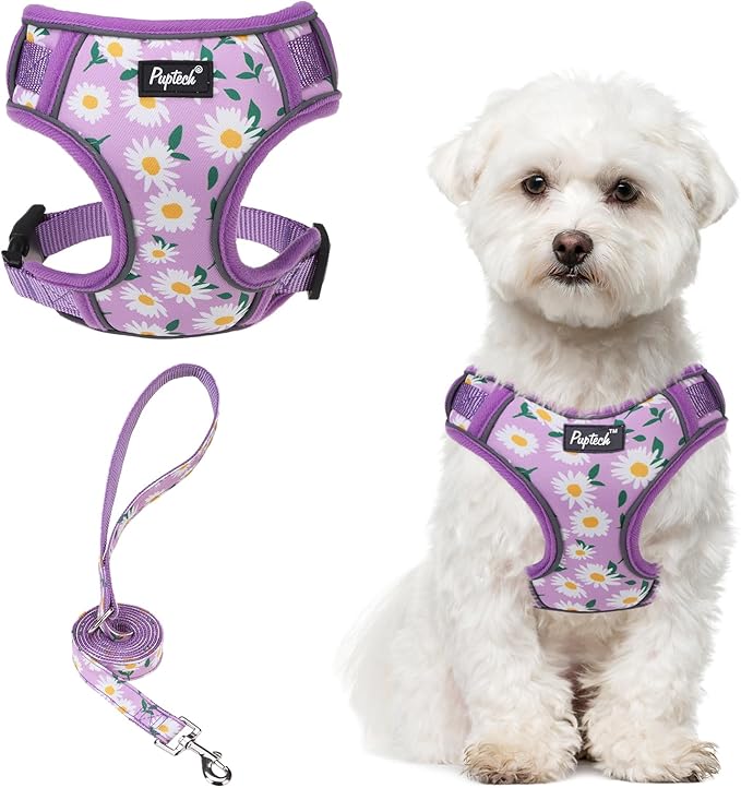 PUPTECK Small Dog Harness and Leash Set, No Pull Adjustable Puppy Cat Harness, Reflective Soft Mesh Pet Vest Small Sized, Daisy, M