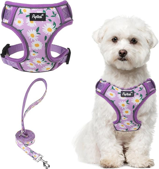 PUPTECK Small Dog Harness and Leash Set, No Pull Adjustable Puppy Cat Harness, Reflective Soft Mesh Pet Vest Small Sized, Daisy, M