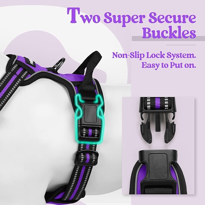 rabbitgoo Dog Harness No Pull with 2 Leash Clips, Adjustable Soft Padded, Reflective Oxford No Choke Pet Vest with Easy Control Handle for Medium Sized Dogs, Purple, M