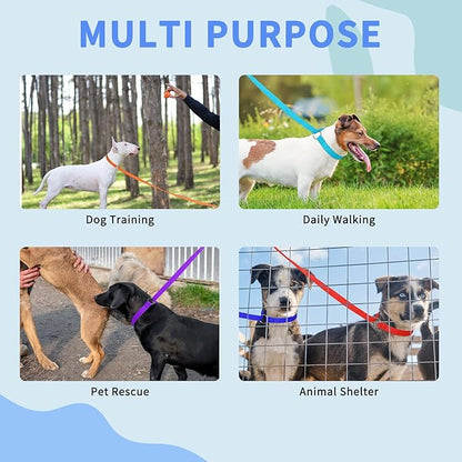 HOMIMP Slip Lead Dog Leash 6 FT- 48 PCS Bulk Colors Kennel Control Leashes for Small Medium Large Dogs Puppy Animal Rescue, Grooming - Heavy Duty Strong Nylon 6 Foot Long for Shelter, Vet, Training