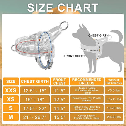 BEAUTYZOO Dog Harness for Small Dogs, No Pull Dog Harness and Leash Set, Soft Escape Proof Puppy Vest Harness with Handle, Reflective Lightweight Step in Harness for Girl Boy Dogs, Pink XS